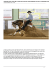 bernard fonck and time to mark big: nrha bit open breeders futurity
