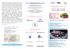 surgical brain mapping - Promedica Bioelectronics Srl