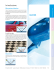 Introduzione GlOss
