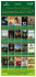 cineforum loc 2008:cineforum loc 2007