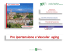 Presentazione standard di PowerPoint