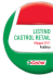 LISTINO CASTROL RETAIL