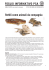 Rettili come animali da compagnia