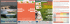 world orienteering championships world trail