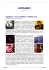 scarica quest`articolo in formato pdf