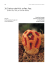 34.Clathrus ruber Mich. ex Pers.: Pers.