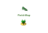 1 Field-Map presentation_ITA