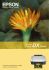 Epson Stylus DXSeries
