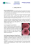 L`Esofago di Barrett - EndoscopiaDigestiva.it
