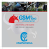 catalogo Gancio Scuotitore a motore GSM 60 EL TORO