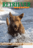 Retriever Magazine