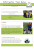 Progetto Cani Eroi