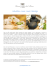 Hawaiian Lomi Lomi Massage