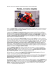 Honda, la marca stupida