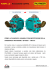 pompa ls – rotazione doppia