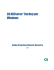 Guida all`opzione Disaster Recovery