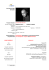 Curriculum Vitae Europass