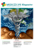 Medicalive 6 Giugno 2015
