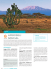 AMbOselI sPecIAl