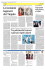 Scarica l`articolo in pdf