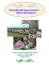 I prodotti delle piante aromatiche