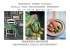 MASSERIA TORRE COCCARO PUGLIA FOOD PHOTOGRAPHY