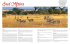 Sud Africa - I Viaggi dell`Airone