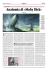 Anatomia di «Moby Dick