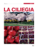 inserto la ciliegia