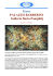 PALAZZO BARBERINI Galleria Doria Pamphilj
