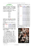 3T - Infobridge