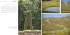 Golf Club Pevero - Best Real Estate