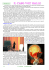 MetaFisica - L`Archetipo