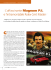 //L`affascinante Magnum P.I. e l`intramontabile Rolex gmt Master//