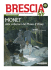 scarica la rivista