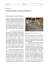 Pavimenti veneziani e lo spazio architettonico&sup1;