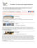 Newsletter - Events in the Langhe and Roero