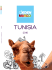 tunisia maggio 2016 - ott obre 2016