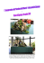 Inaugurazione del Giardino dei Viburni