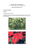 RELAZIONE BOTANICA