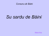 Su sardu de Baini - Comune di Villa Verde