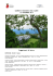 PDF: Giornata degli alberi