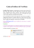 Guida all`utilizzo di FreeMake