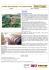 CATALOGO DELLE OPPORTUNITA` 2016 – CENTRI ALL