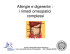 Allergie e digerente : i rimedi omeopatici complessi