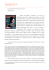 Documento allegato - Turin D@ms Review