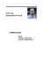 Curriculum vitae