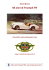 Scaricate la storia di tutte le Triumph TR in formato pdf