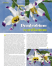 File stampabile-pdf