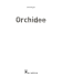 Orchidee